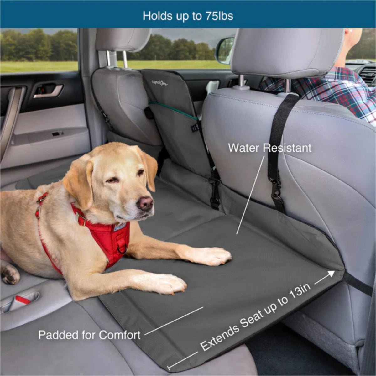 Kurgo Dog Rover Backseat Bridge Black/Charcoal
