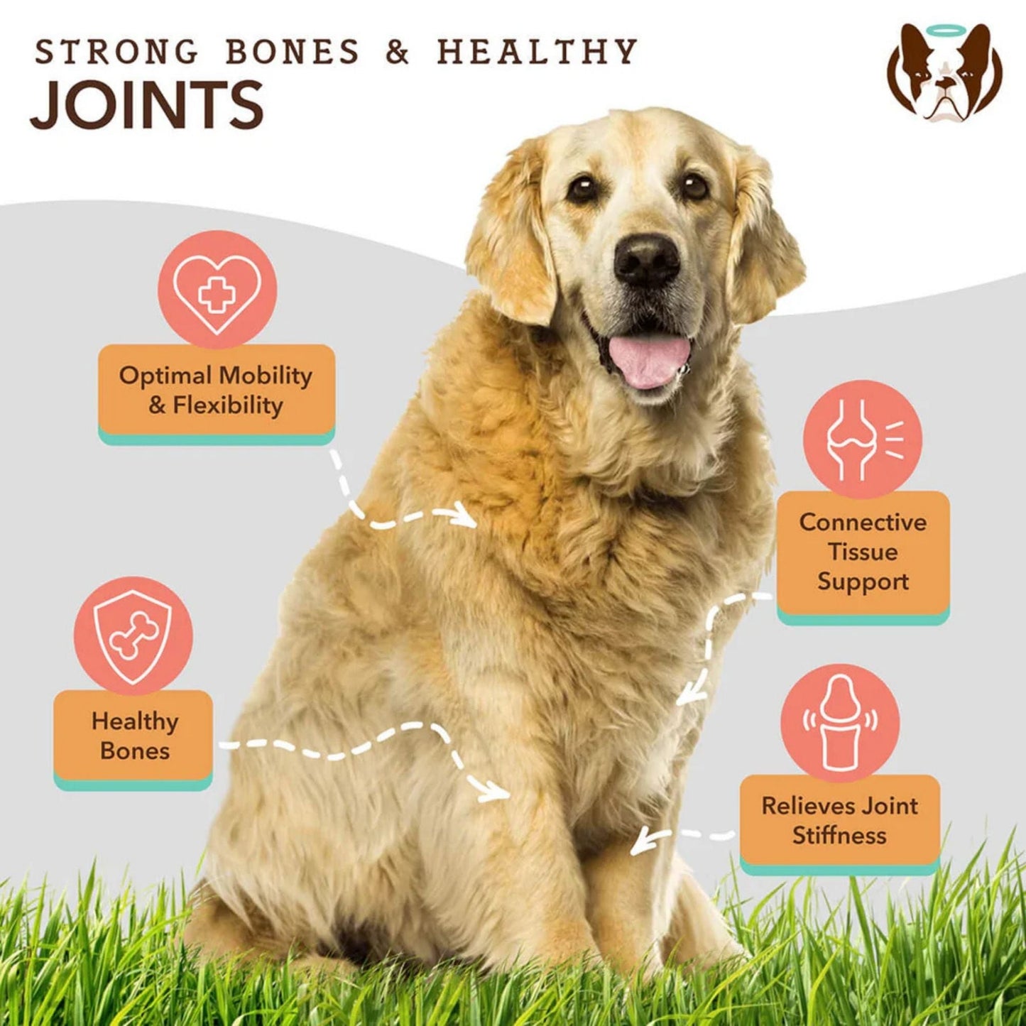 Natural Dog Company Dog Hip & Joint Supplement Chews - 90 Count