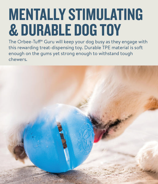 Orbee-Tuff Guru Treat-Dispensing Puzzle Dog Toy