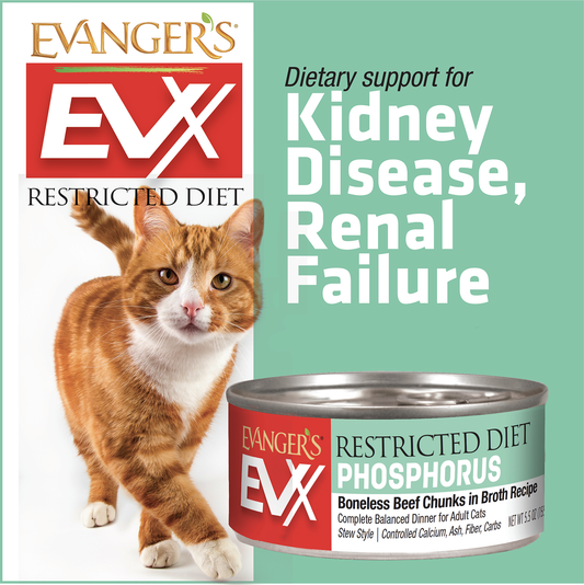 Evanger's EVx Restricted Diet Phosphorus Wet Cat Food Boneless Beef Chunks in Broth 5.5oz 24pk