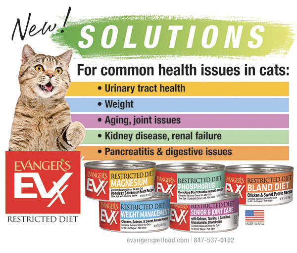 Evanger's EVx Restricted Diet Phosphorus Wet Cat Food Boneless Beef Chunks in Broth 5.5oz 24pk