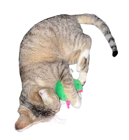 Small Cactus Plush Cat Toy with Smile, Perfect Pet Play