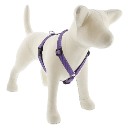 Eco Roman Dog Harness - Pack Of: 1