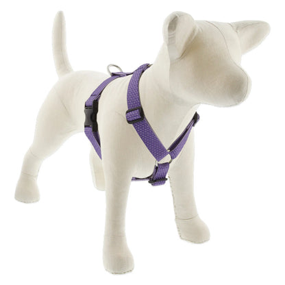 Eco Roman Dog Harness - Pack Of: 1