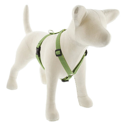 Eco Roman Dog Harness - Pack Of: 1