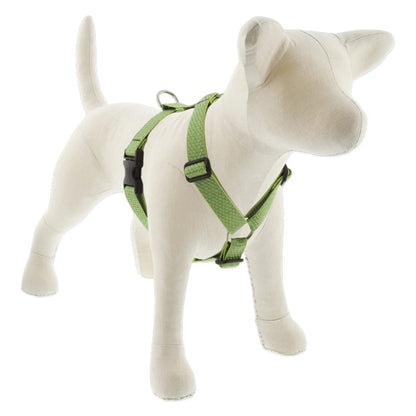 Eco Roman Dog Harness - Pack Of: 1