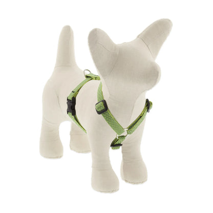 Eco Roman Dog Harness - Pack Of: 1