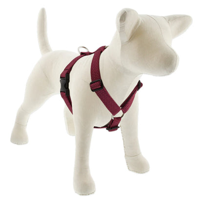 Eco Roman Dog Harness - Pack Of: 1