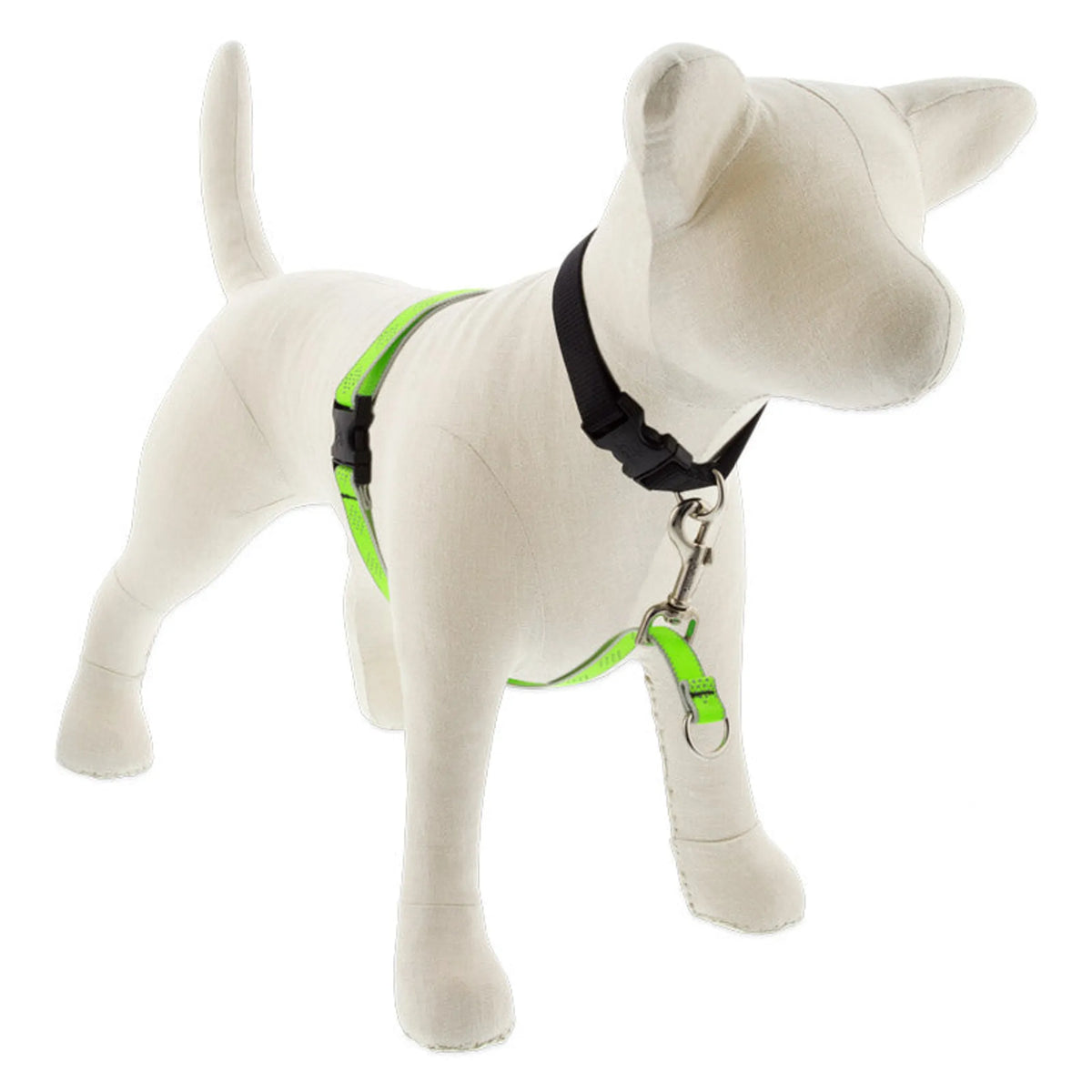 Reflective No Pull Harness