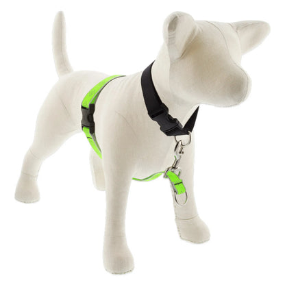 Reflective No Pull Harness