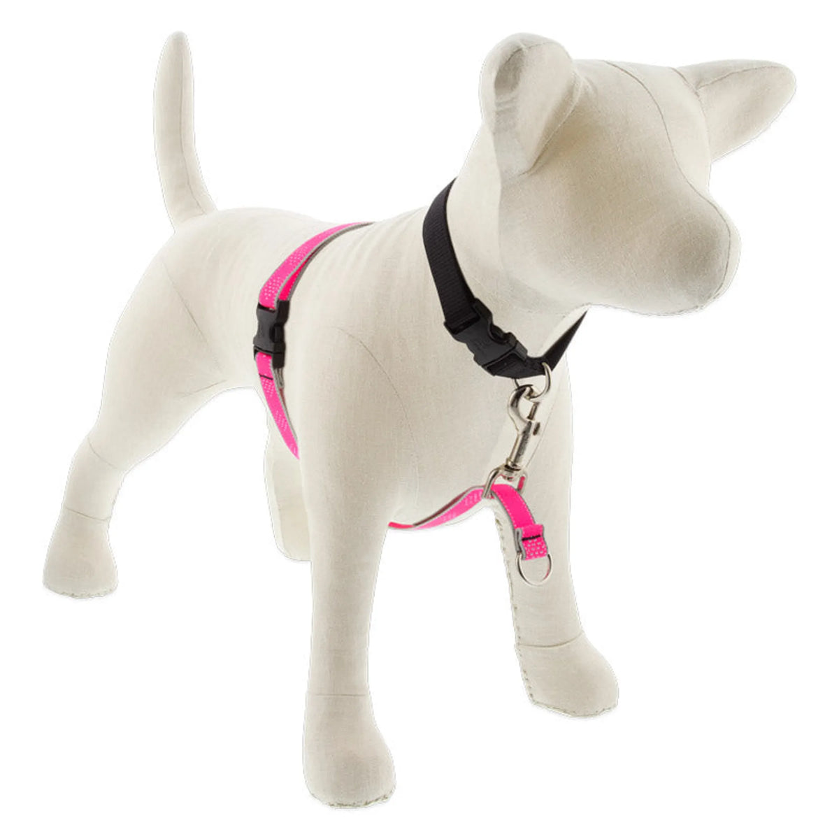 Reflective No Pull Harness