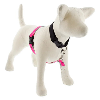 Reflective No Pull Harness