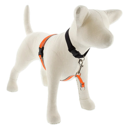 Reflective No Pull Harness