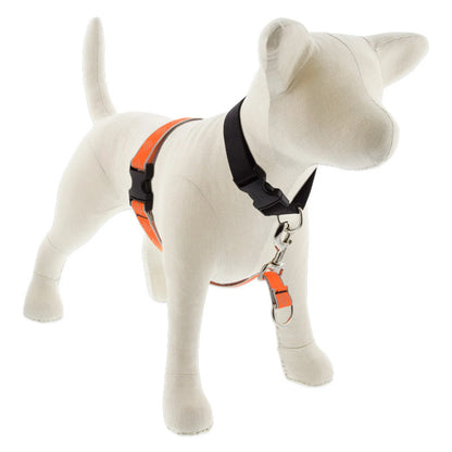 Reflective No Pull Harness