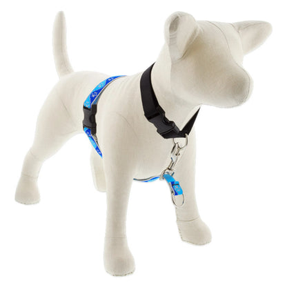 Reflective No Pull Harness