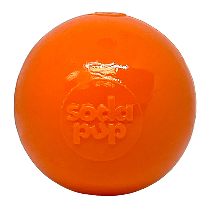 Squeak Ball - Durable Squeaky Dog Toy, Floats, Chew Toy