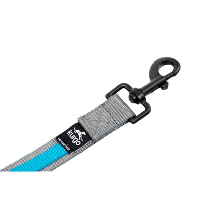 Kurgo Dog Quantum Leash Black