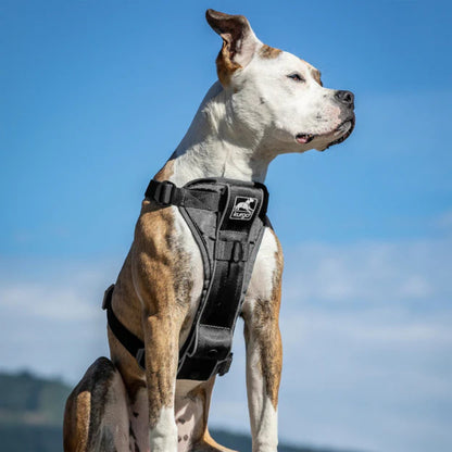 Kurgo Dog Tru Fit Smart Harness Black XLarge