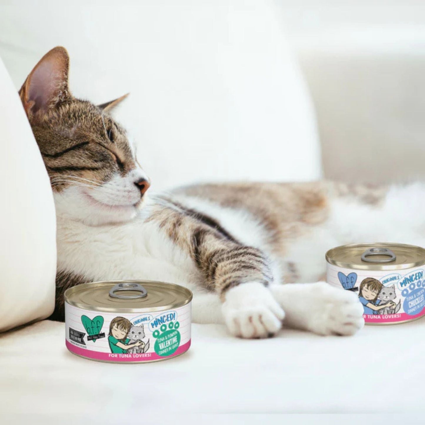 BFF Cat Batch O Besties Variety Pack 3oz. (Case of 12)