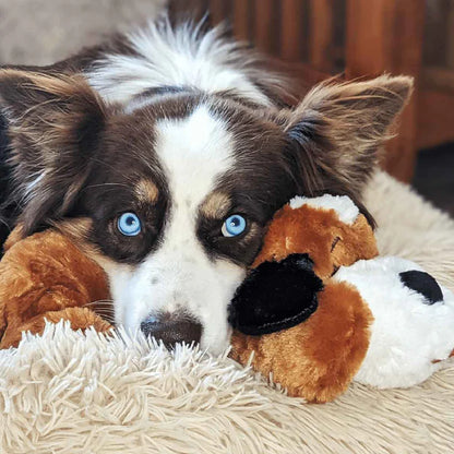 Snuggle Puppy
