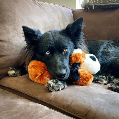Snuggle Puppy