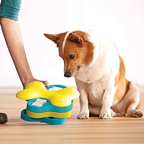 Nina Ottosson by Outward Hound MultiPuzzle Interactive Dog Puzzle Toy