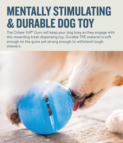 Orbee-Tuff Guru Treat-Dispensing Puzzle Dog Toy