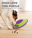 Treat Maze Interactive Puzzle Dog Toy